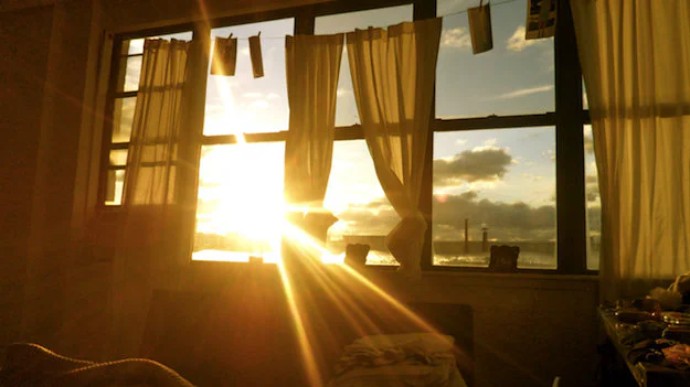 Việc lựa chọn cửa sổ là một quyết định quan trọng trong thiết kế nội thất. Hy vọng với những gợi ý trên, bạn sẽ có thể chọn được những bộ cửa sổ ưng ý nhất, giúp căn nhà của mình luôn tràn ngập ánh sáng và gió tự nhiên, mang lại một không gian sống lý tưởng.