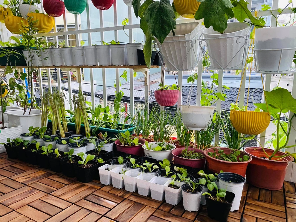 Giống như việc chọn Cửa sổ TP HCM để đón ánh sáng và khí trời, việc thiết kế vườn rau trong bếp hoặc ban công giúp không gian sống thêm trong lành, gắn kết gia đình và gần gũi với thiên nhiên.