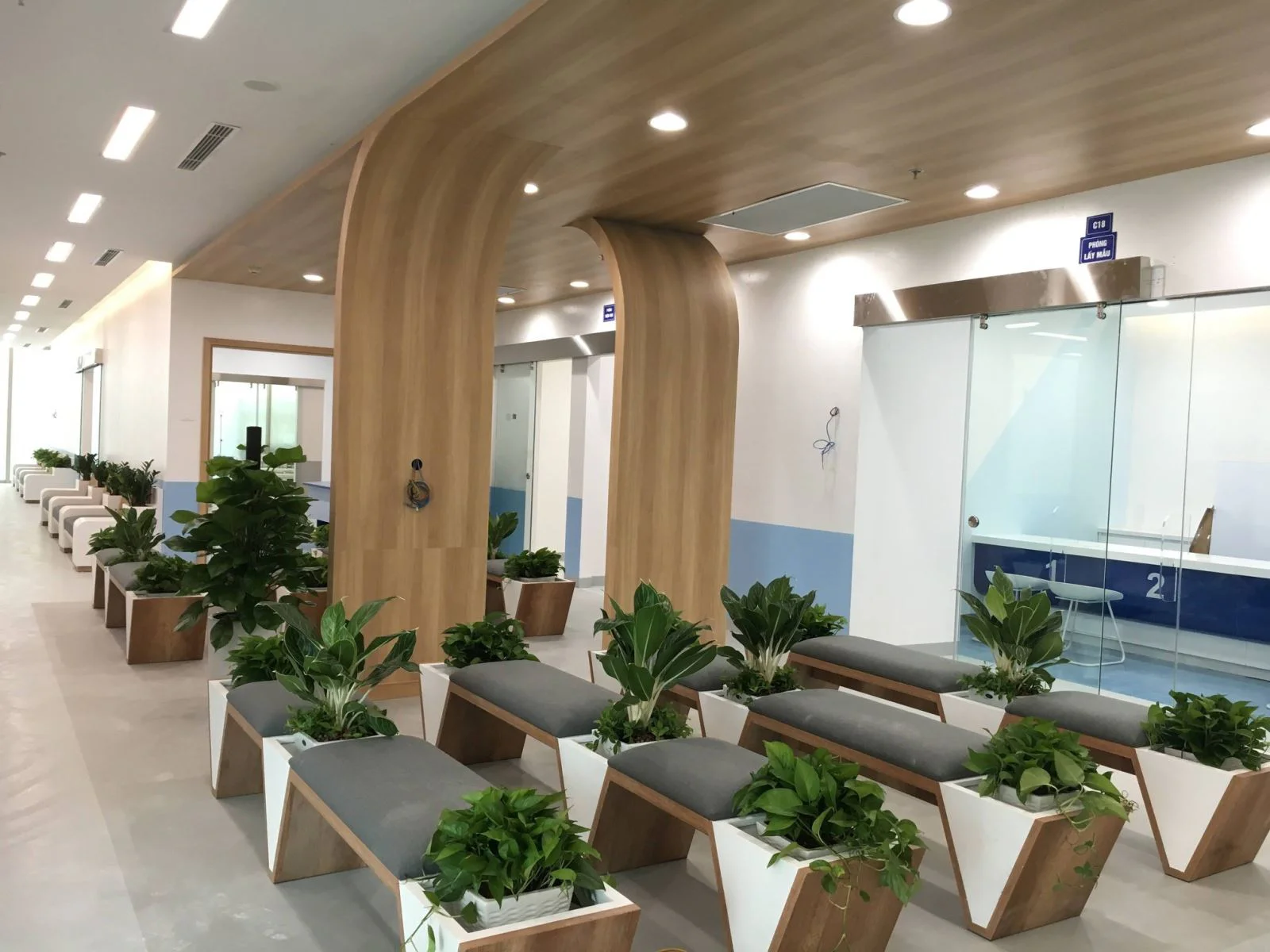 Khi được bố trí hài hòa cùng các yếu tố kiến trúc hiện đại như Cửa nhôm TP HCM, không gian làm việc sẽ trở nên trong lành, đẹp mắt và tràn đầy sức sống — mang lại lợi ích lâu dài cho cả sức khỏe lẫn tinh thần con người.