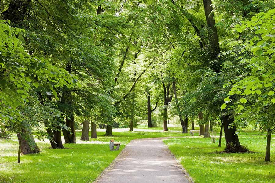 Đó cũng là lý do nhiều gia đình ưu tiên Lắp đặt cửa cuốn TP HCM để hỗ trợ thông gió, tối ưu ánh sáng và bảo vệ căn nhà hiệu quả.